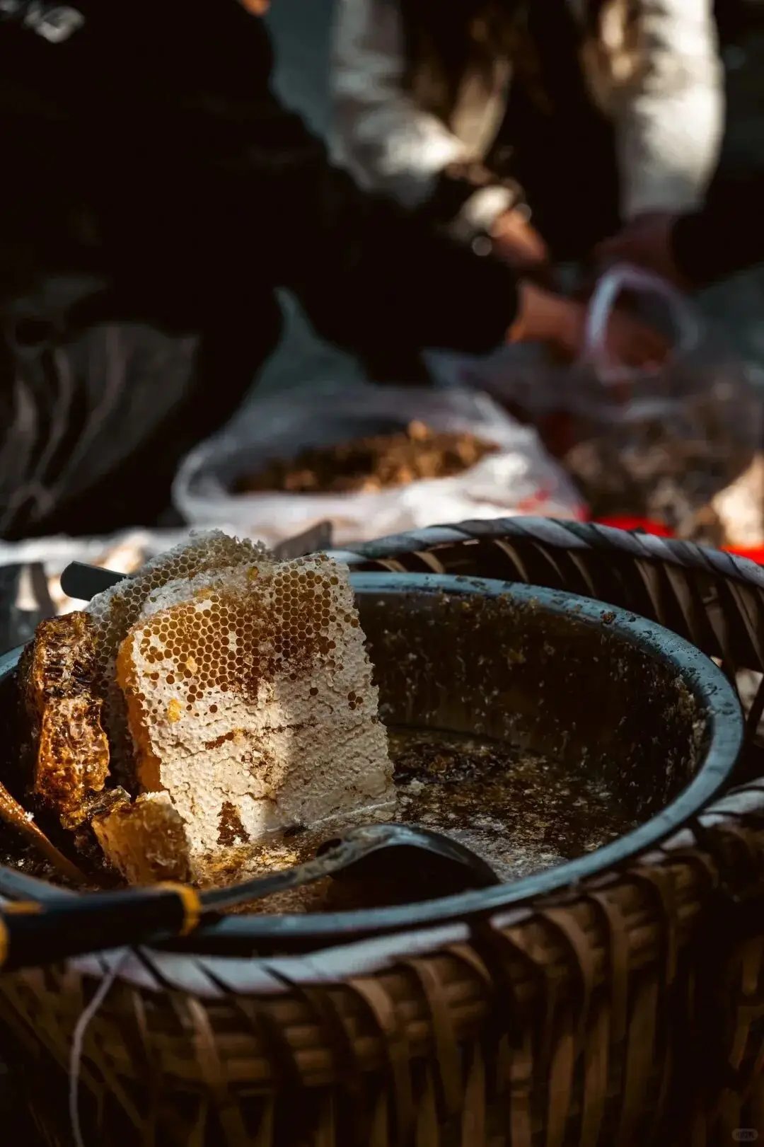 晒太阳散步__太阳出来晒晒