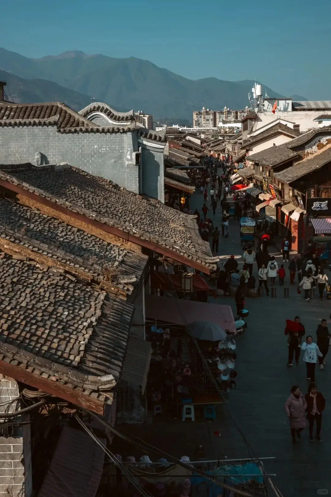 晒太阳散步_太阳出来晒晒_