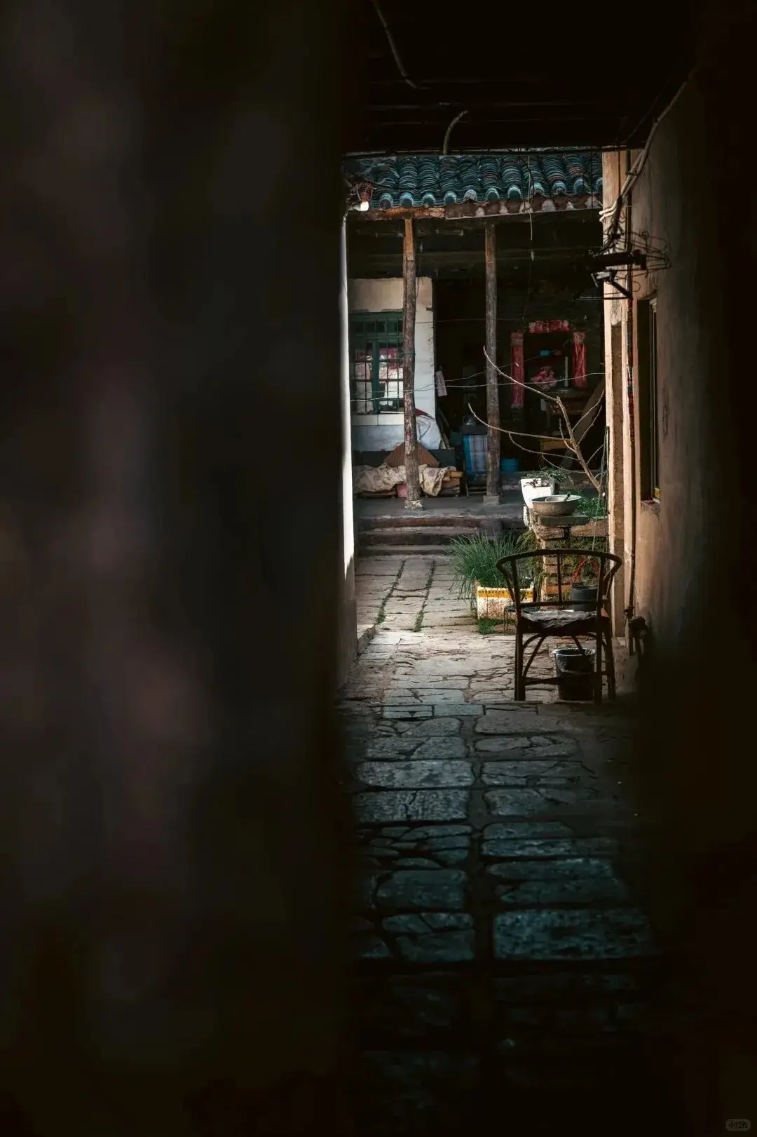 晒太阳散步__太阳出来晒晒