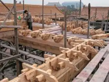 _但奇怪的是,这次检测却没有对梁思成最关注的外部_但奇怪的是,这次检测却没有对梁思成最关注的外部