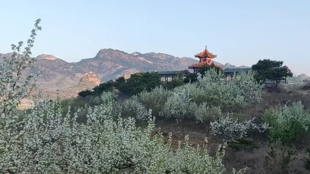 辽宁省全域旅游城市名单_辽宁省全域旅游_