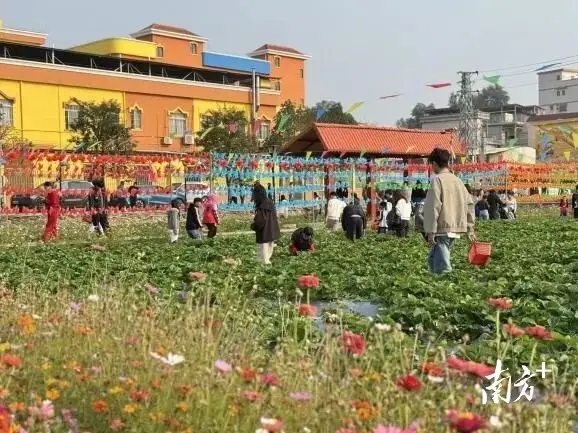 _江门大道|颜值爆表、情绪拉满,元旦假期蓬江开启文旅“新玩法”_江门大道|颜值爆表、情绪拉满,元旦假期蓬江开启文旅“新玩法”