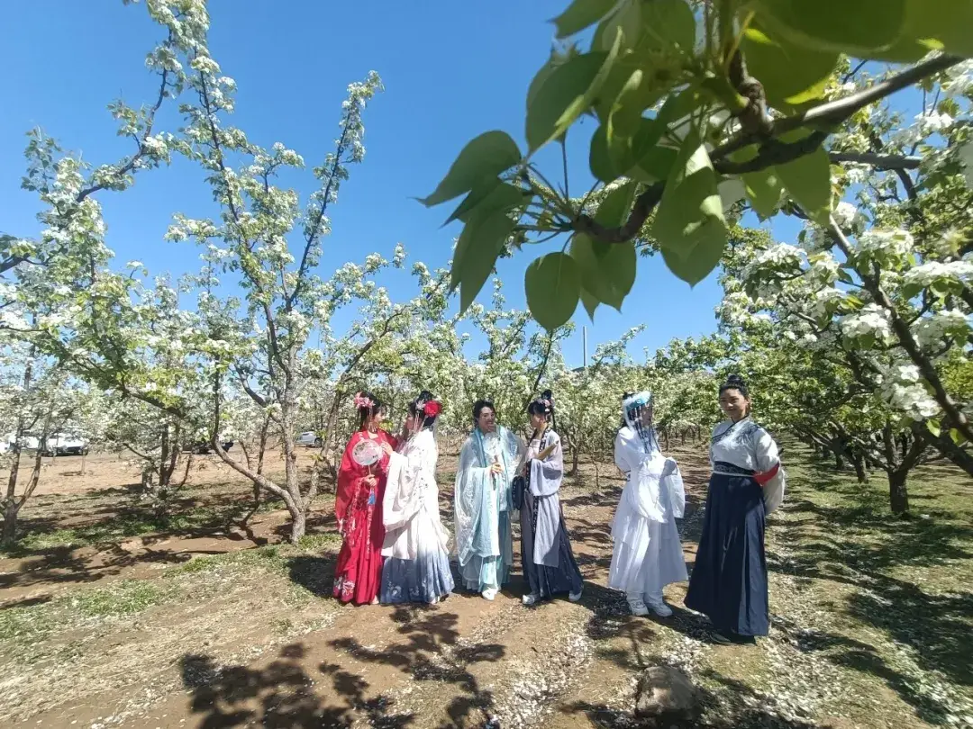 辽宁省全域旅游城市名单__辽宁省旅游排名