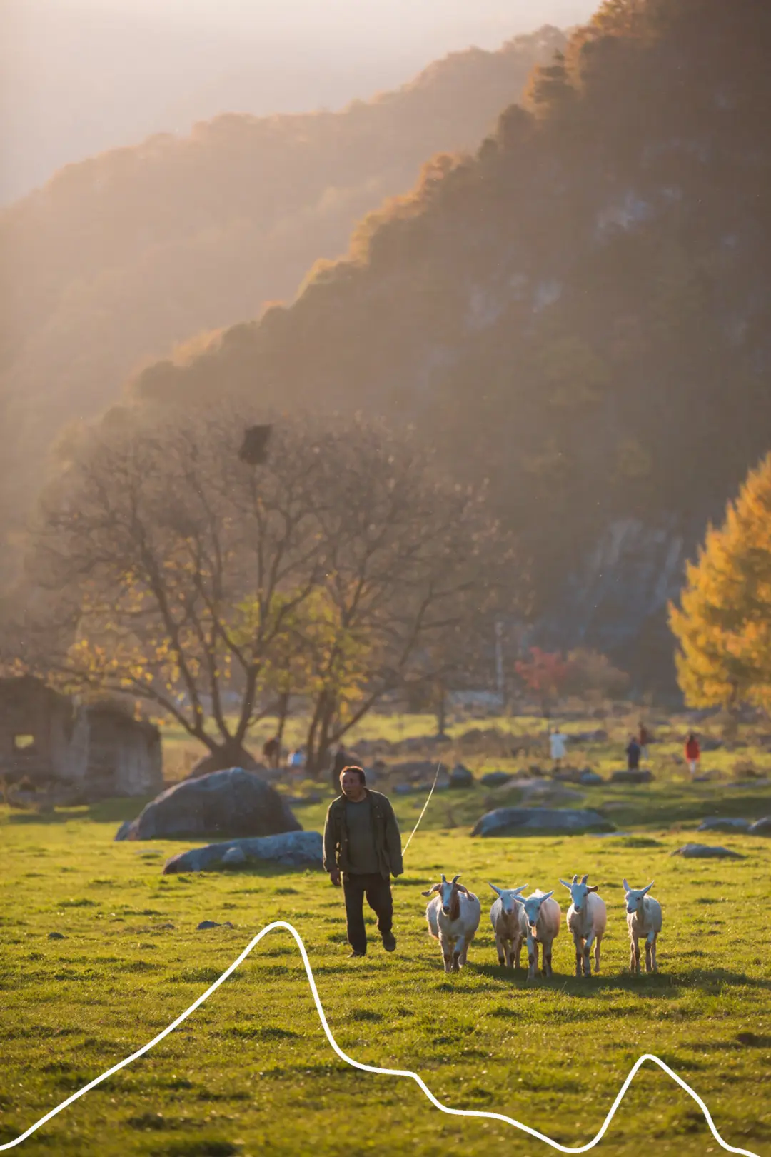 100层60到100攻略_为邓稼先写颁奖词100字_