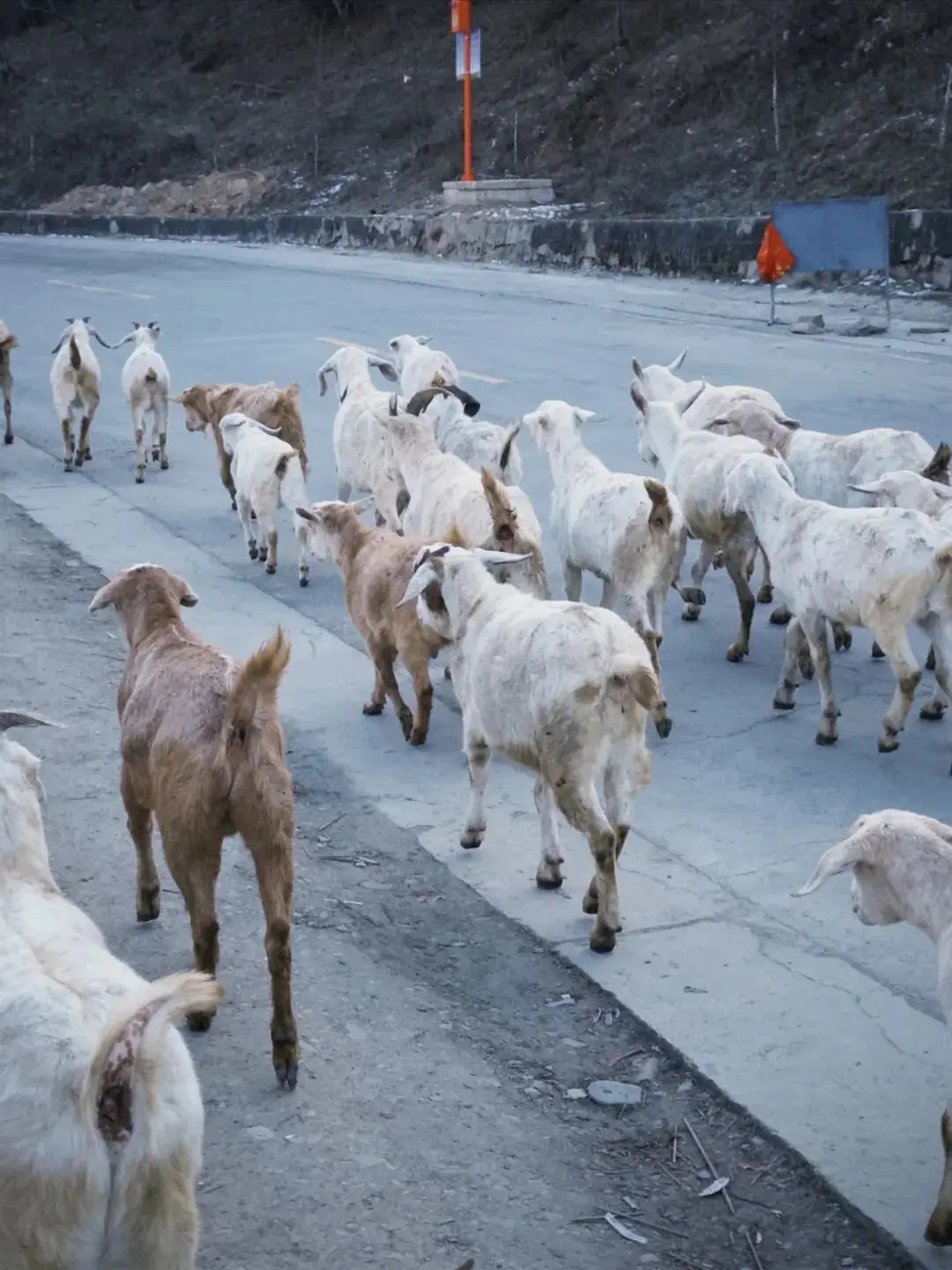 _为邓稼先写颁奖词100字_100层60到100攻略