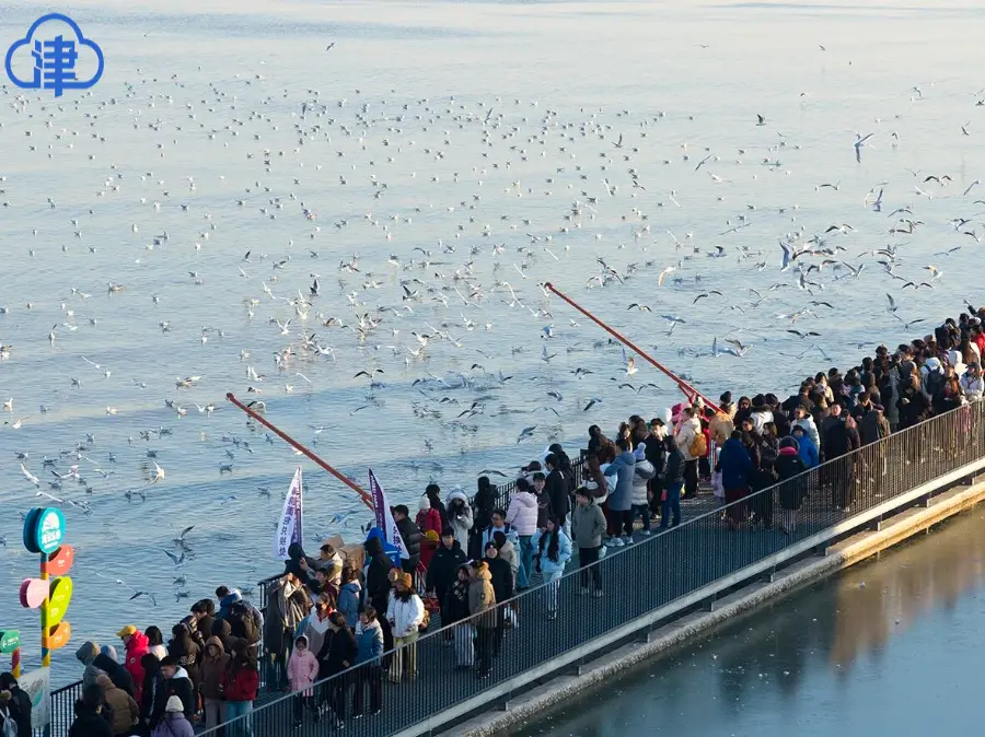_接待旅游人数_2020接待游客人数