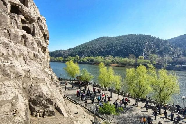 2020年度票房突破200亿_永陵游客年度总量_