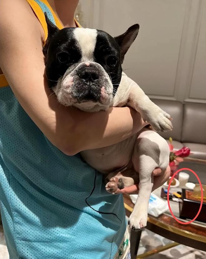 _在关晓彤面前提鹿晗_鹿晗搂着关晓彤的腰