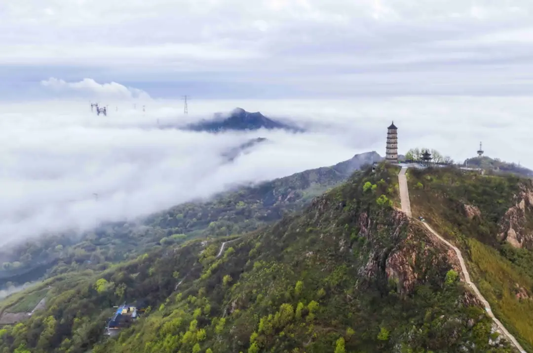 女子攀爬江苏圌山野道不慎坠崖？管委会：不提倡攀爬野道，事发点高度不到2米__女子攀爬江苏圌山野道不慎坠崖？管委会：不提倡攀爬野道，事发点高度不到2米