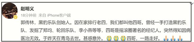 _窦唯为什么离开黑豹乐队_黑豹乐队窦唯