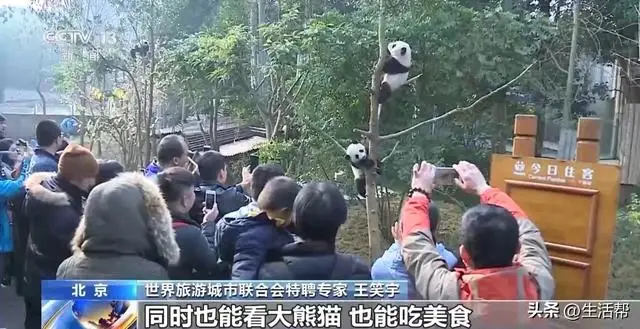 深度游英文_美国深度游_