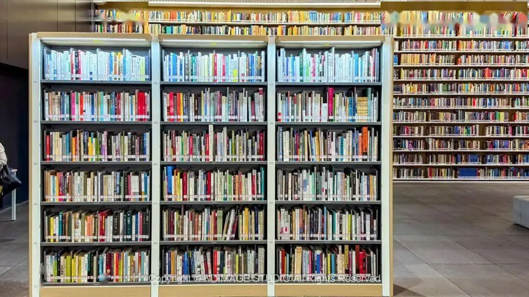 沙漠入口攻略_沙漠体验馆_