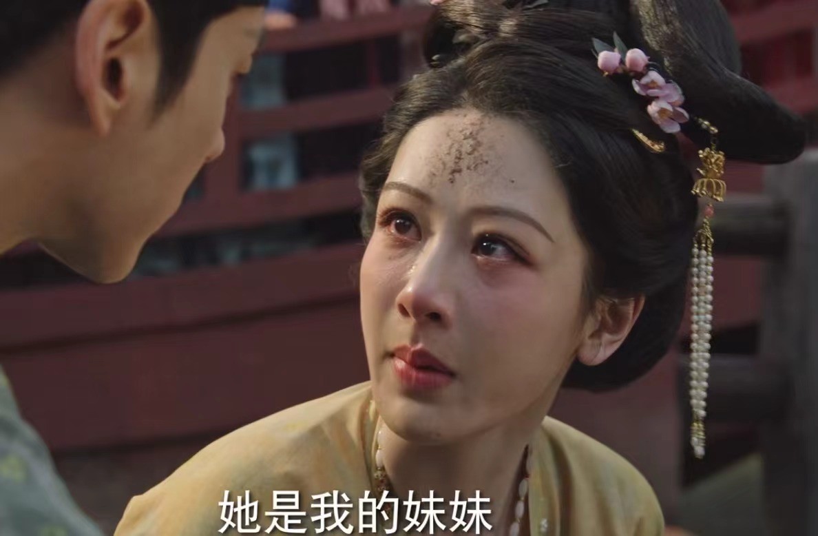 芳华的电视剧_有个电视剧叫什么芳华_