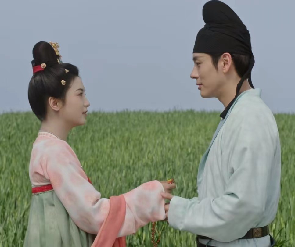 有个电视剧叫什么芳华__芳华的电视剧