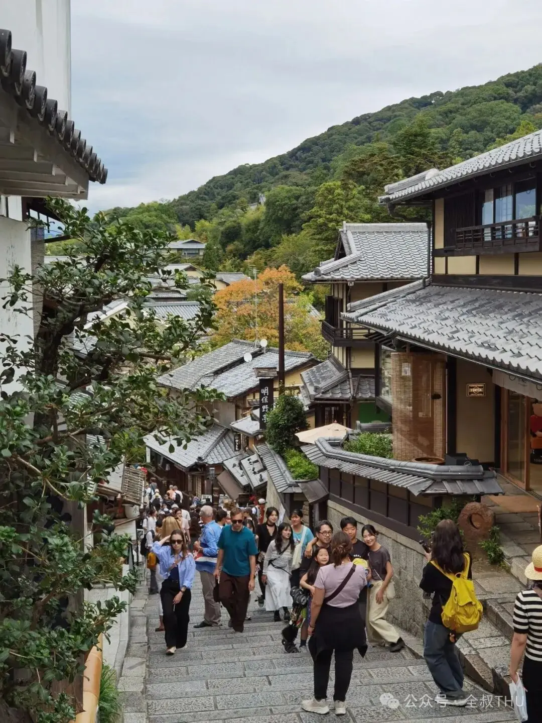 精细的日本|在京都，漫步千年古城，探寻幽静寺庙_精细的日本|在京都，漫步千年古城，探寻幽静寺庙_