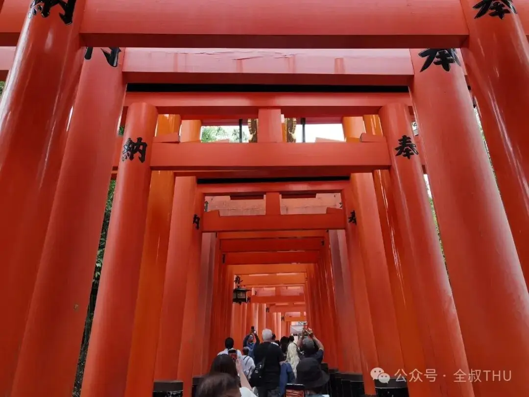 精细的日本|在京都，漫步千年古城，探寻幽静寺庙__精细的日本|在京都，漫步千年古城，探寻幽静寺庙