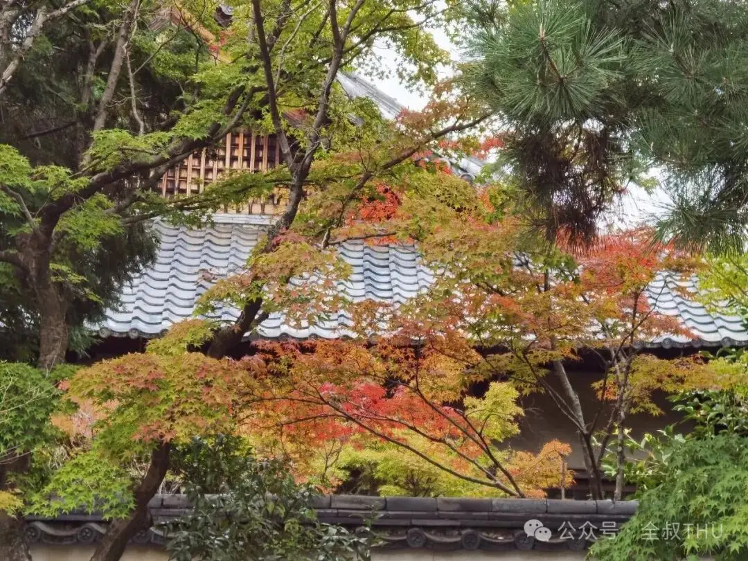 精细的日本|在京都，漫步千年古城，探寻幽静寺庙__精细的日本|在京都，漫步千年古城，探寻幽静寺庙