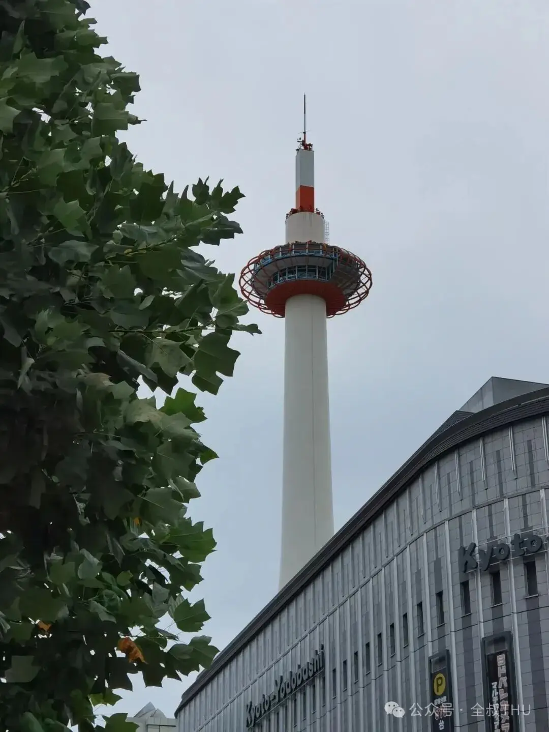 精细的日本|在京都，漫步千年古城，探寻幽静寺庙__精细的日本|在京都，漫步千年古城，探寻幽静寺庙
