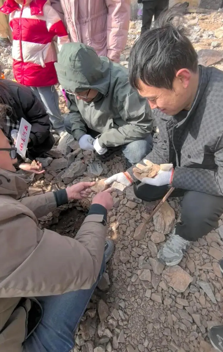 _南阳市玉石批发大摆件_环保区域限批