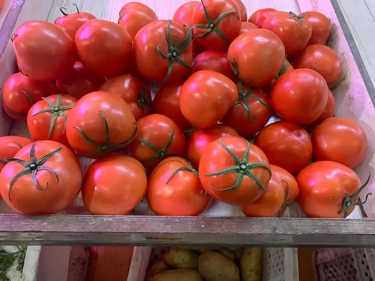 _看懵日本！中国游客春节订房暴增，日方紧急应对，引发热议_看懵日本！中国游客春节订房暴增，日方紧急应对，引发热议
