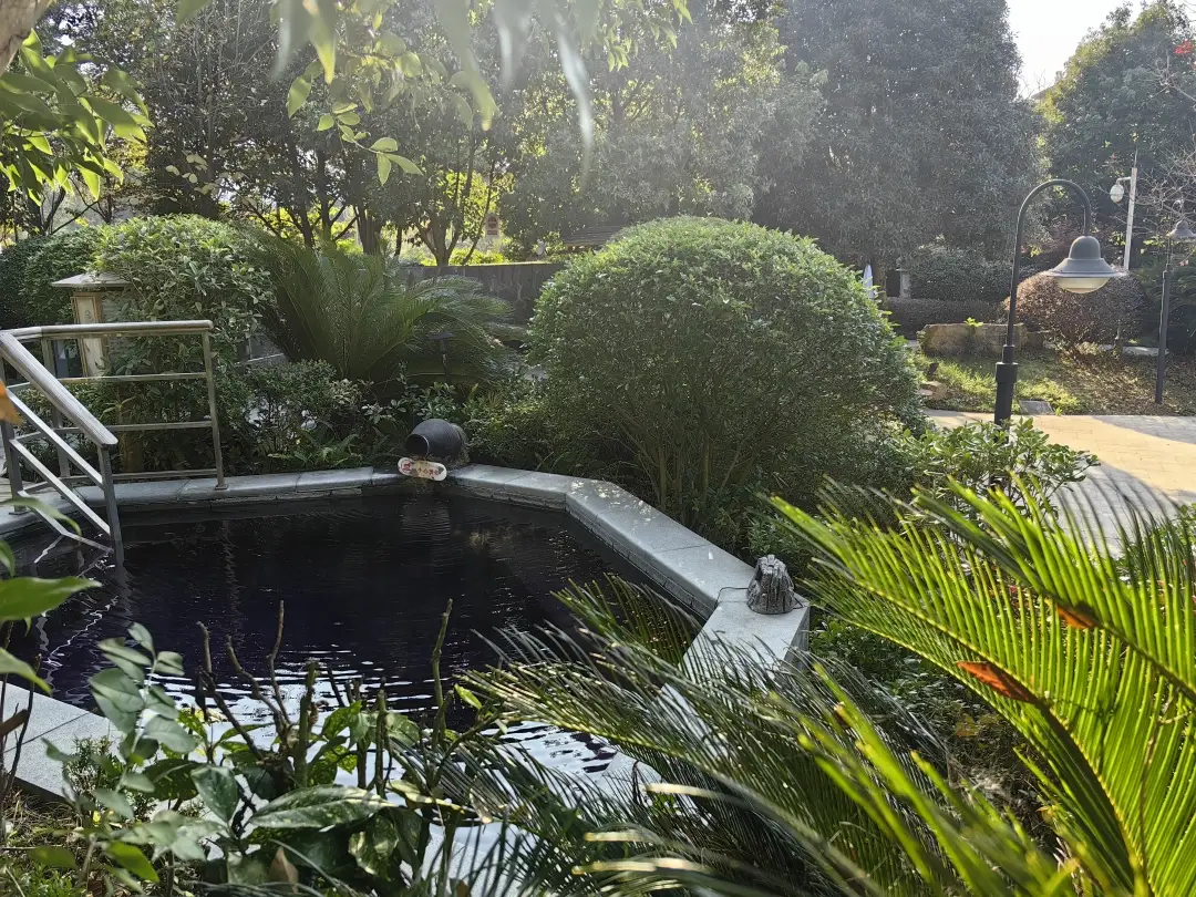 _乌当：一池温暖润人心 碧泉氤氲引客至_乌当：一池温暖润人心 碧泉氤氲引客至