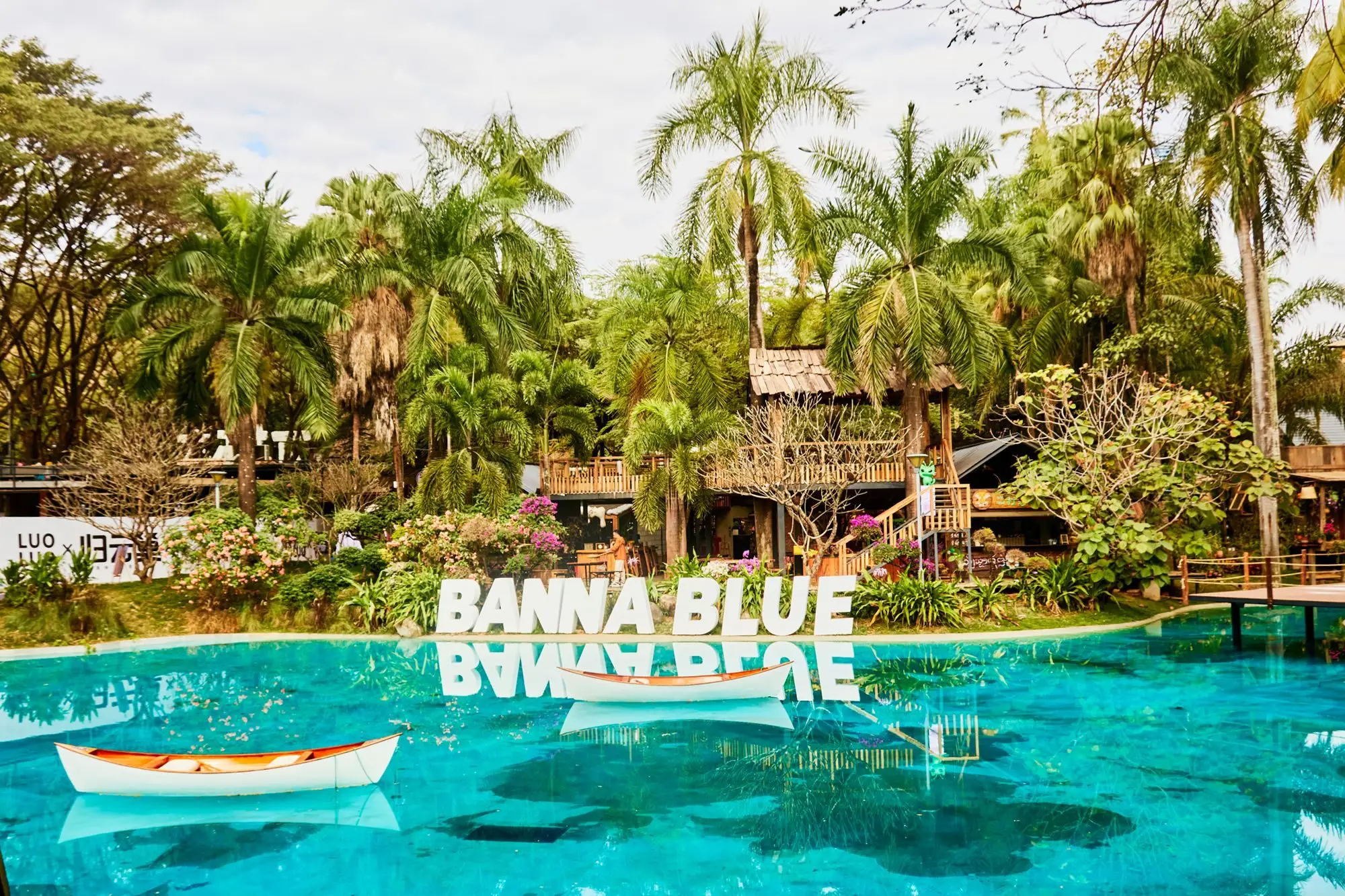 西双版纳的市花__西双版纳最有名的花