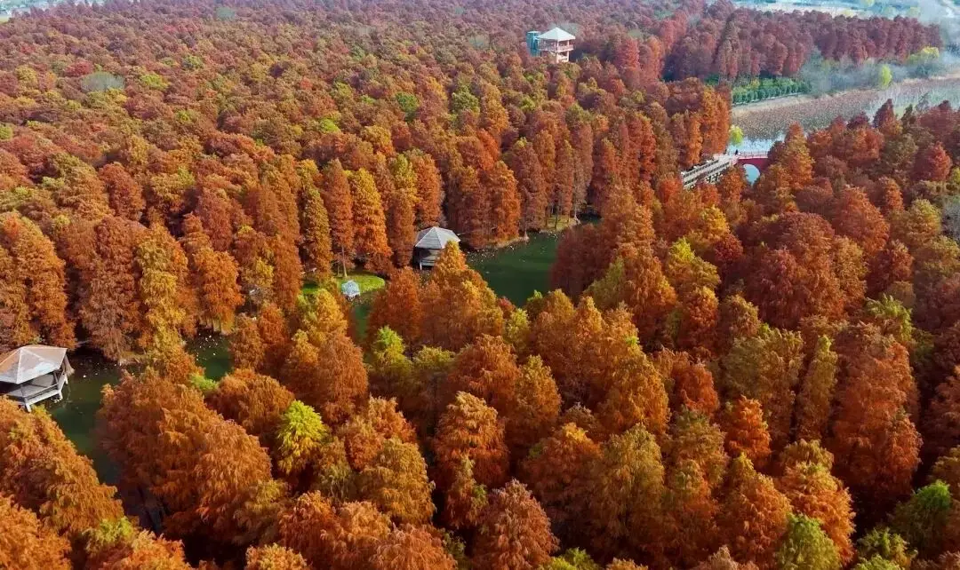 景点免费！又一波重磅文旅福利上线！__景点免费！又一波重磅文旅福利上线！