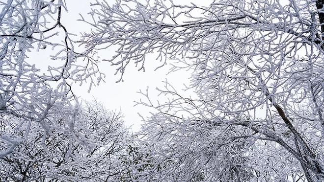 奇观异景_贵州佛顶山图片_