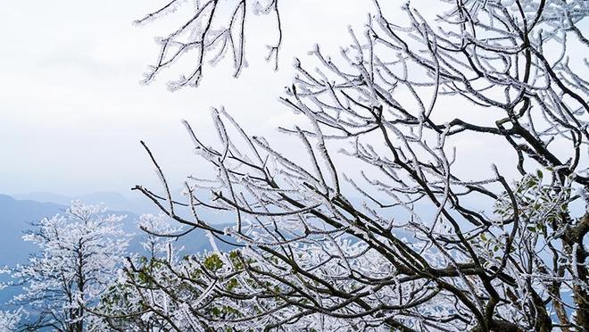 _奇观异景_贵州佛顶山图片