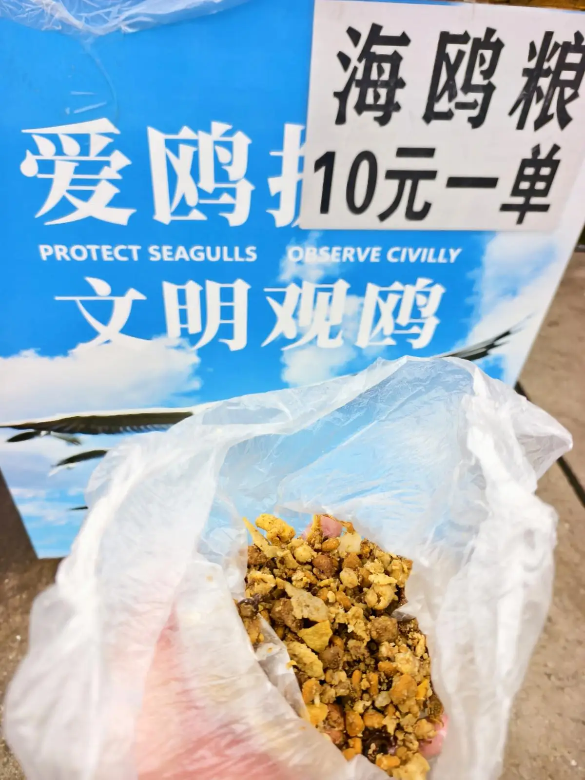 翠湖惊现“荤鸥粮”！10 元一袋，无商品名也无配料__翠湖惊现“荤鸥粮”！10 元一袋，无商品名也无配料