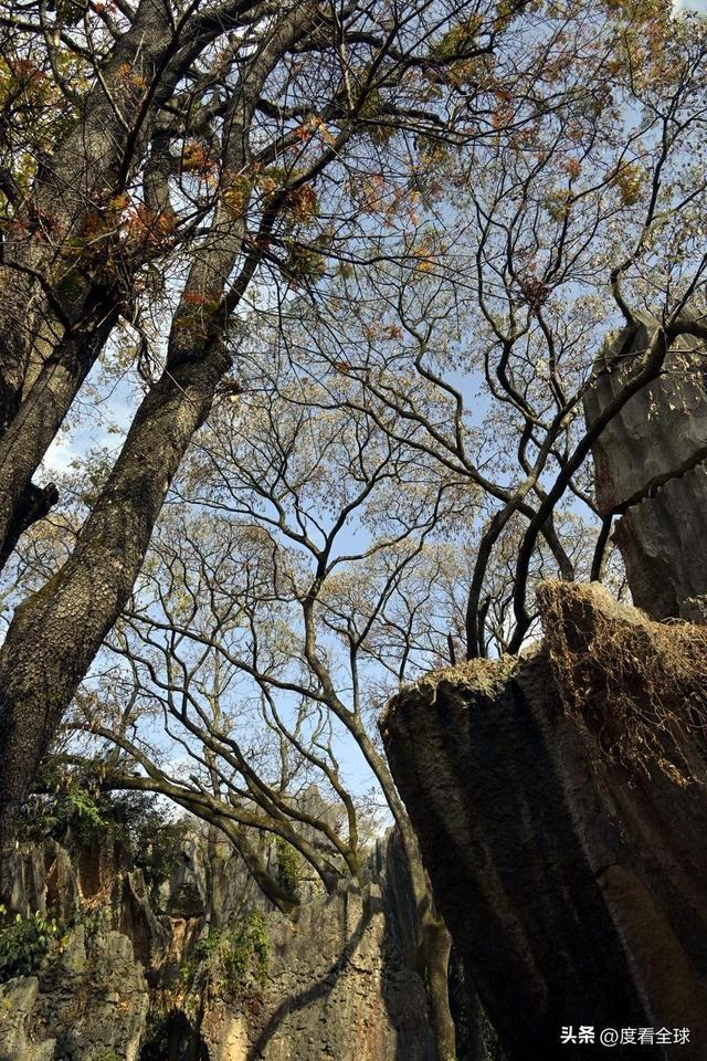 石林门票太贵__2017石林门票多少钱