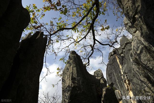 石林门票太贵__2017石林门票多少钱