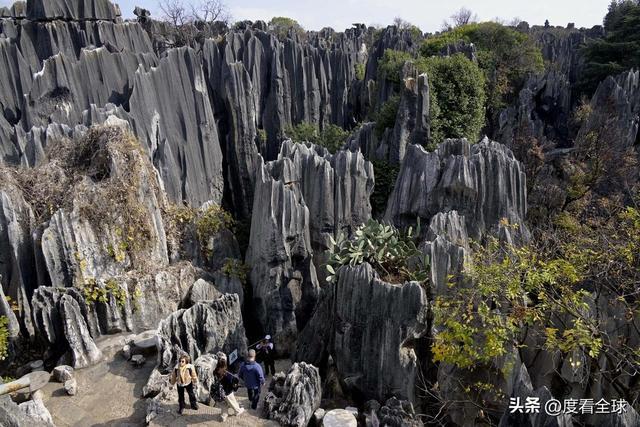 石林门票太贵__2017石林门票多少钱