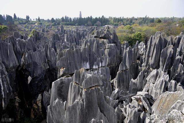 2017石林门票多少钱_石林门票太贵_