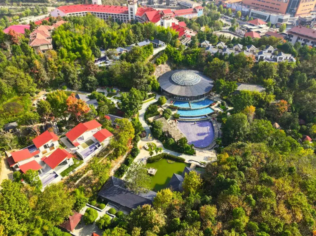 为什么吃了油的东西会吐油__法院政工干部个人工作总结