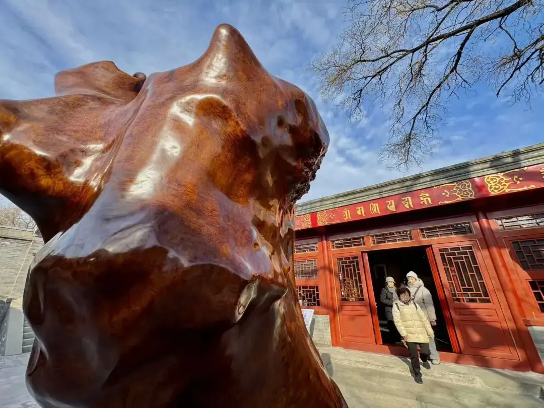 北京的这些“小而美”，别错过了！_北京的这些“小而美”，别错过了！_