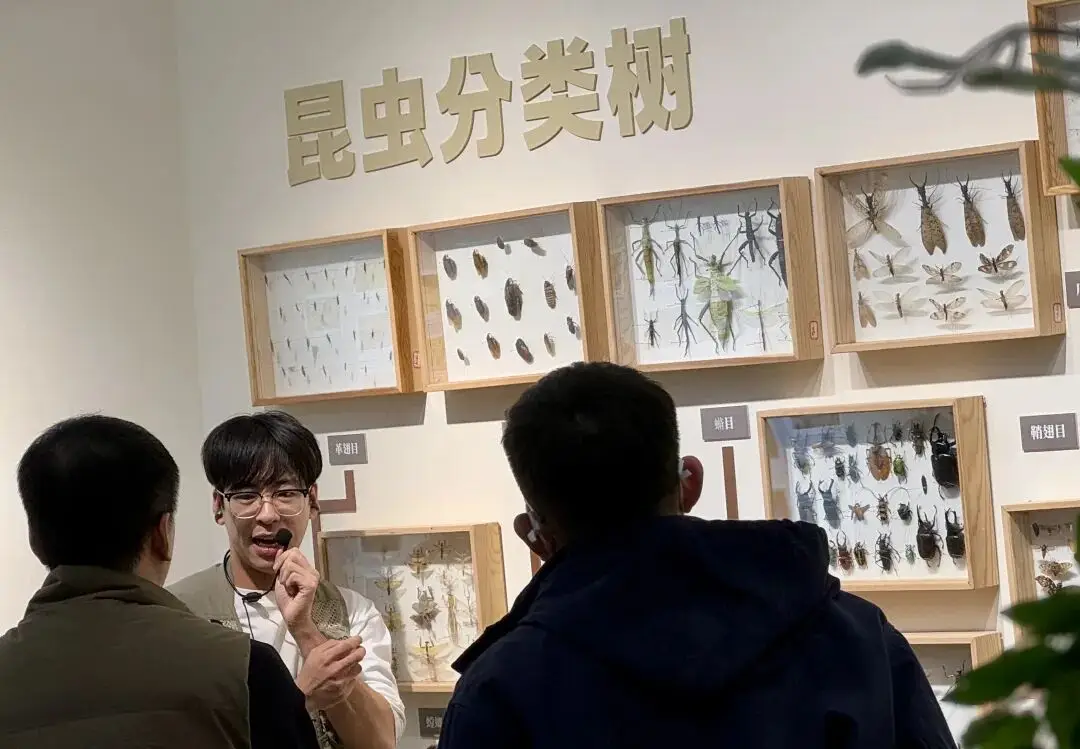 _北京的这些“小而美”，别错过了！_北京的这些“小而美”，别错过了！