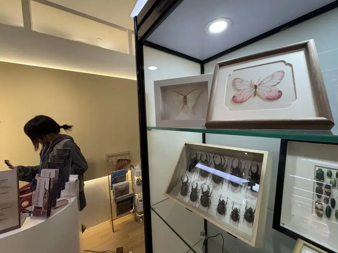 北京的这些“小而美”，别错过了！_北京的这些“小而美”，别错过了！_