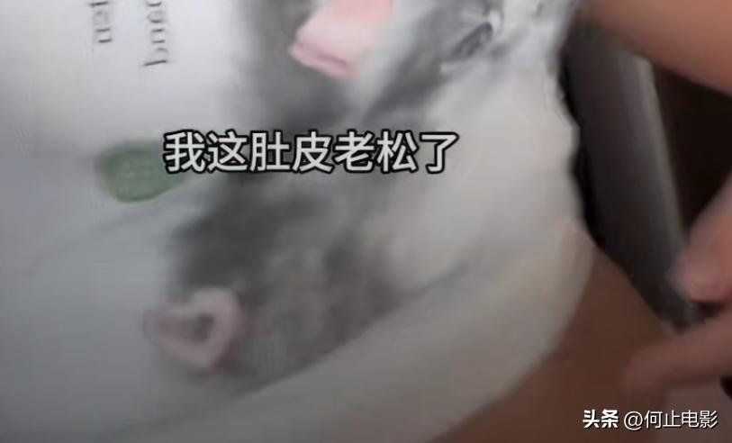 _抗癌归来的冯提莫，力挺“直播禁美颜”，素颜后恶心的一幕上演了_抗癌归来的冯提莫，力挺“直播禁美颜”，素颜后恶心的一幕上演了