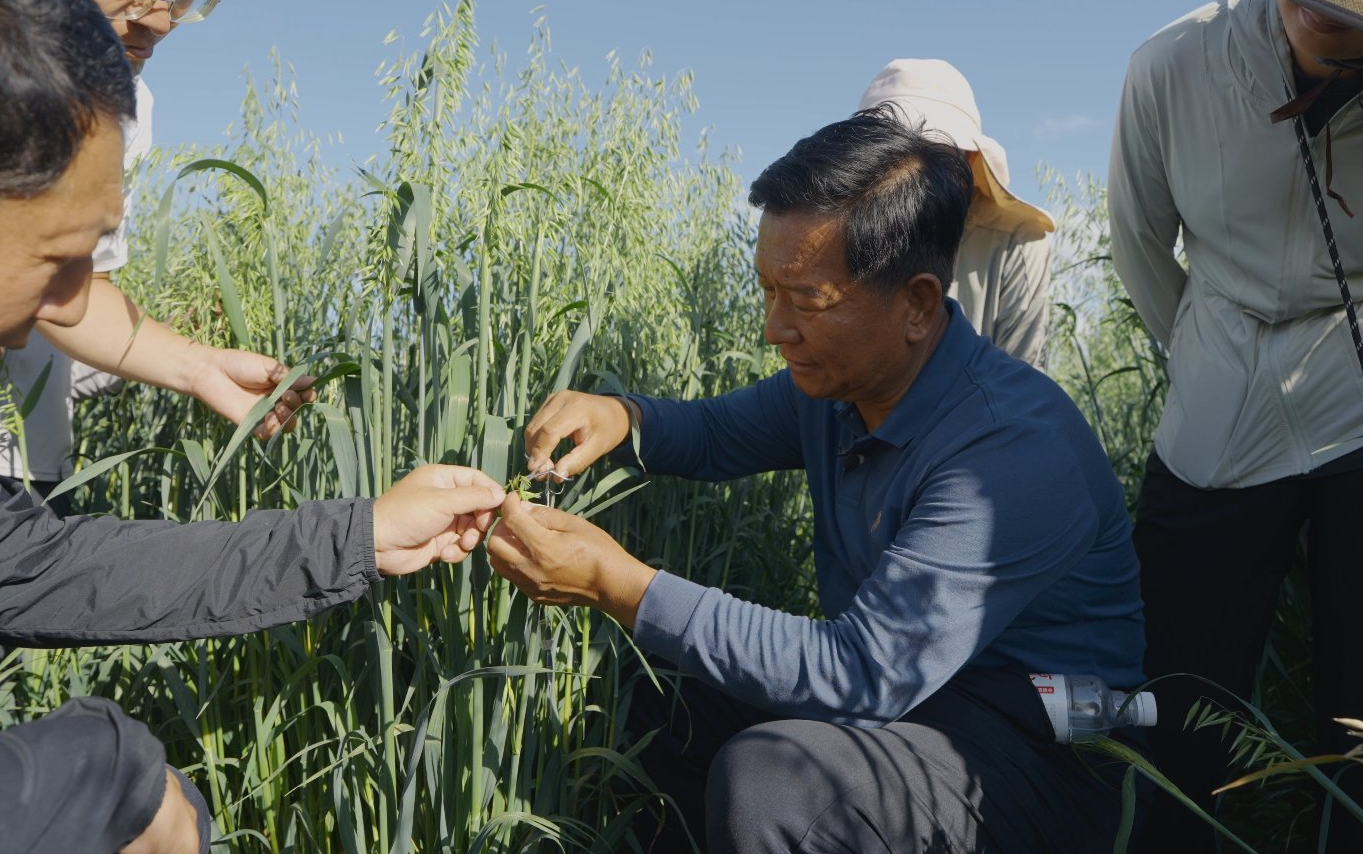封面新闻首席记者__新闻首席官