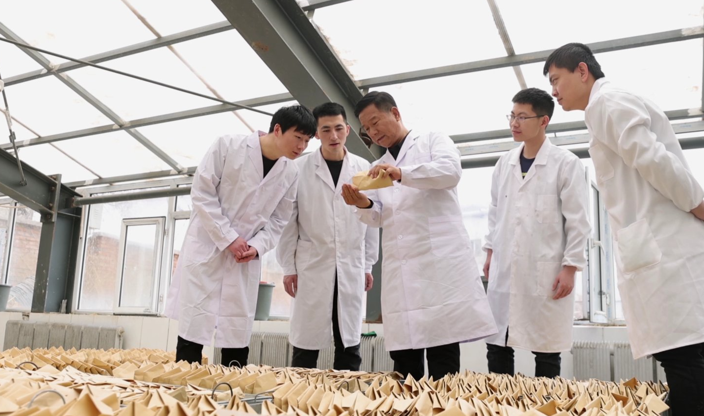 _新闻首席官_封面新闻首席记者