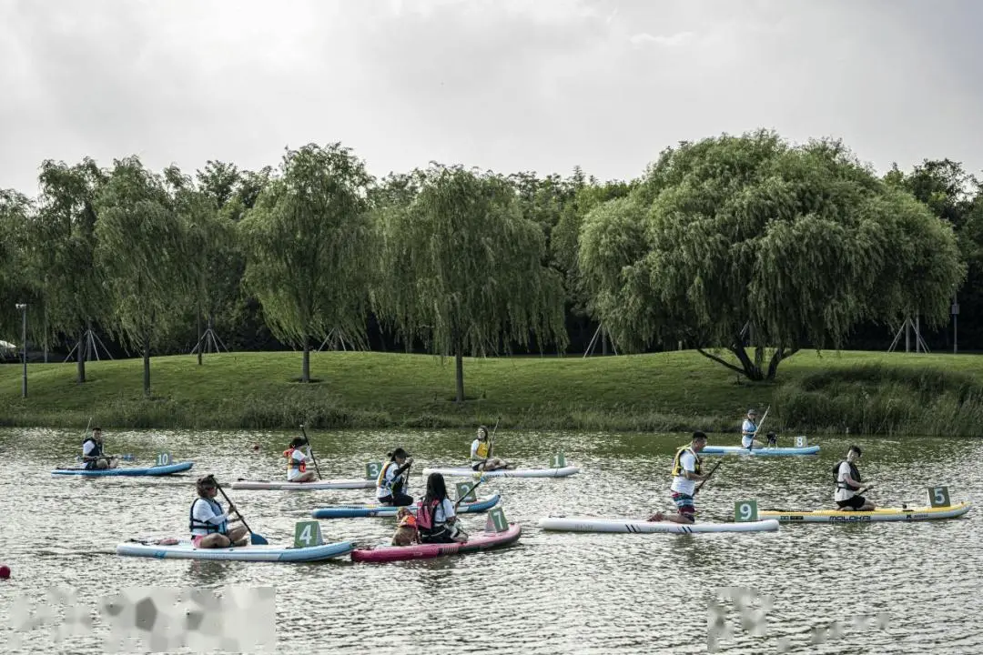 _新业态项目是什么_新业态产业园