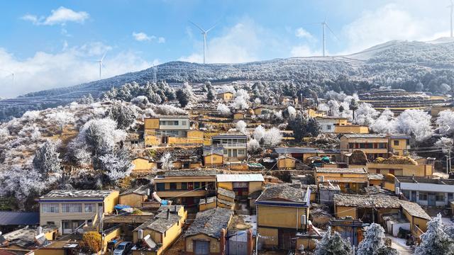 万树银花开!会泽高山之巅现绝美雾凇奇观