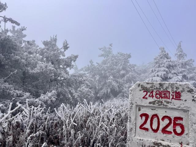 _银花树下_银雾湖攻略