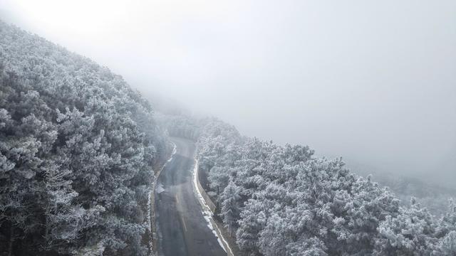 _银雾湖攻略_银花树下
