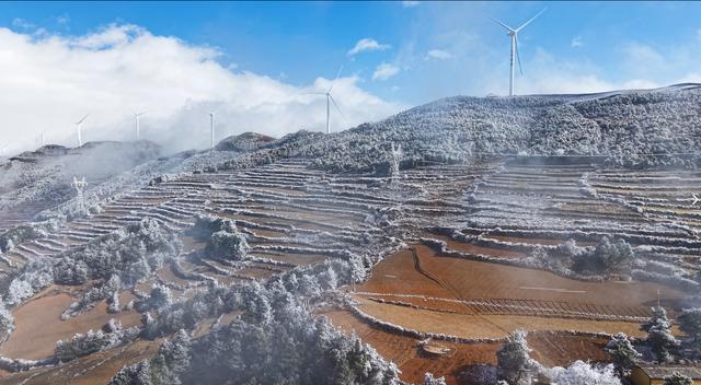 _银雾湖攻略_银花树下