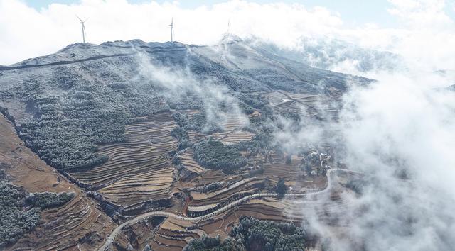 _银花树下_银雾湖攻略