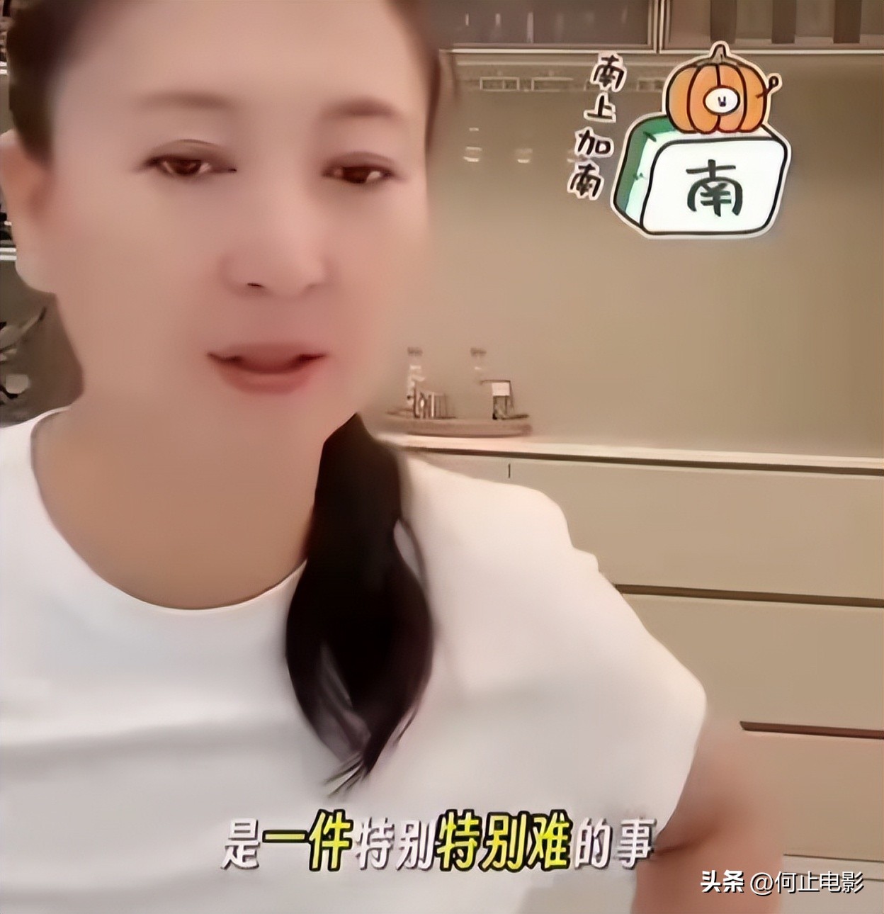 _闫凤琴的简介_闫凤霞现状