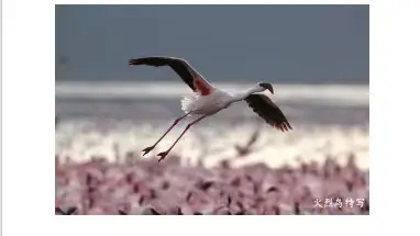 好书推荐|《影映非洲》在京首发__好书推荐|《影映非洲》在京首发