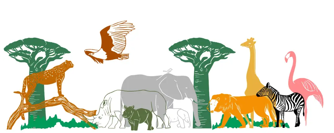 _好书推荐|《影映非洲》在京首发_好书推荐|《影映非洲》在京首发